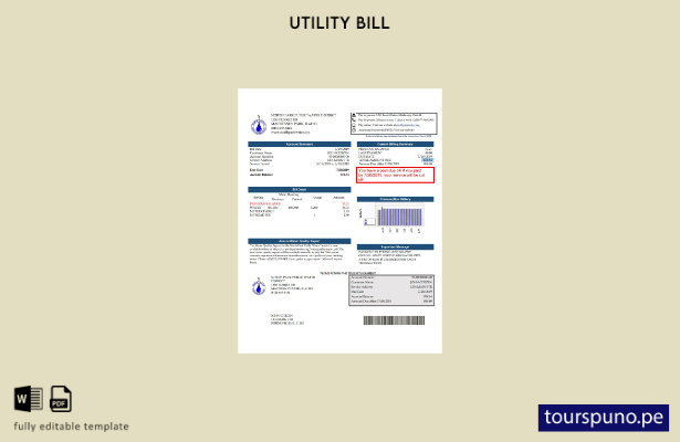 listo para imprimir plantilla de factura de servicios públicos de Illinois North